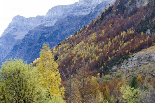Autumn in Pineta valley in Pyrenees Aragones