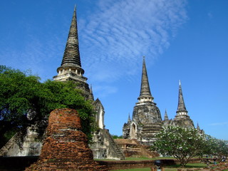 Fototapeta premium アユタヤ