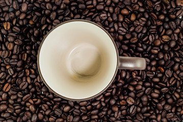 Coffee Mug with Coffee Bean