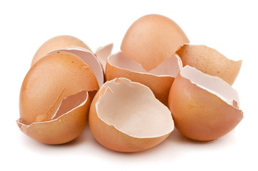 Egg shells