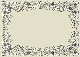 Vector poppy border at color engraving style
