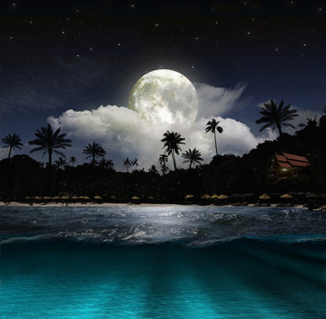 Beach At Night