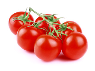 Tomato branch isolated on white.