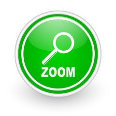 zoom icon