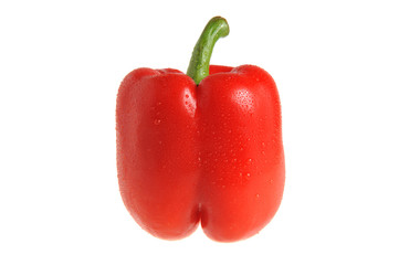 Red pepper with stem covered by water drops isolated on white