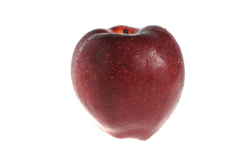 One red apple covered by water drops isolated on white backgroun