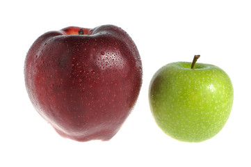 One red apple and one green apple covered by water drops isolate
