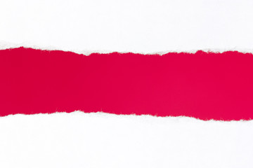 Torn  paper with space for your message