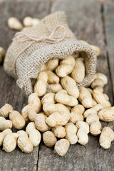 peanuts in a miniature burlap bag on wooden surface