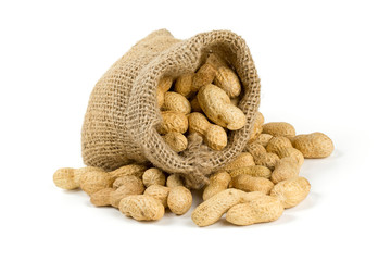 peanuts in a miniature burlap bag isolated on white