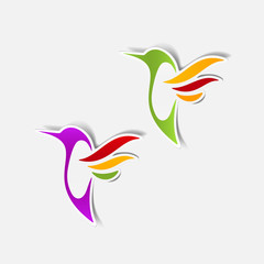 hummingbird sticker