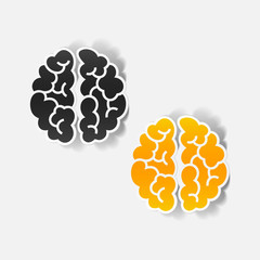 realistic design element: brain