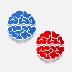 realistic design element: brain
