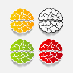 realistic design element: brain