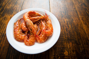 gamba plate 4