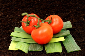 3 tomaten