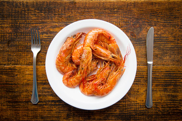 gamba plate 3
