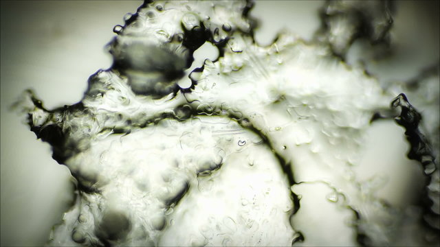 Ice crystals in a microscope