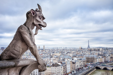 Naklejka premium Widok na Paryż z Notre Dame