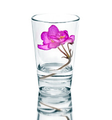 mini flower arrangement