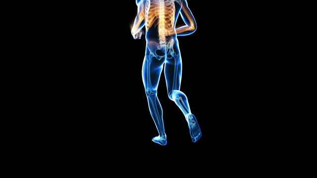 jogging guy - visible skeleton