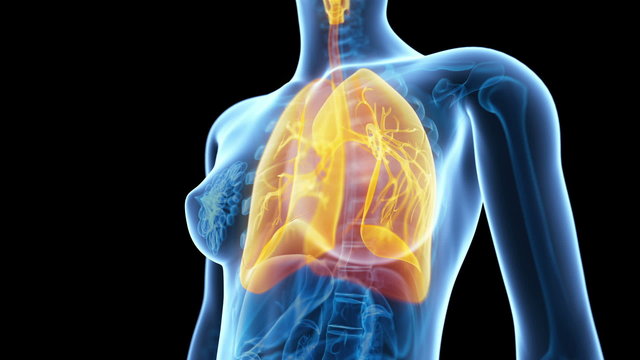 medical animation - women´s lung