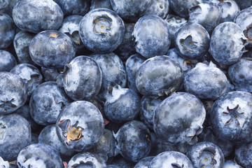 Berries Fruits