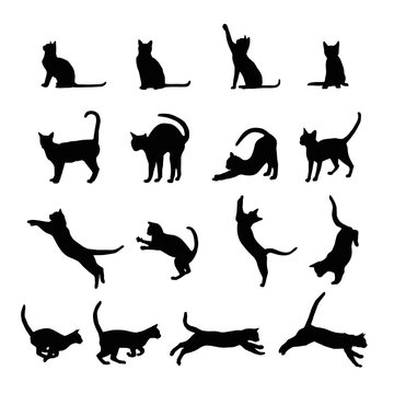 Cats  silhouette collection, vector