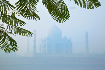 Taj Mahal in morning fog