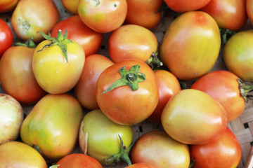 Naklejka na ściany i meble fresh tomatoes in the market