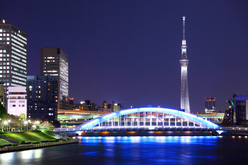 Obraz premium Tokyo cityscape at night