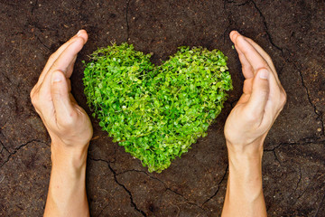 hands holding green heart shaped tree on crack earth - obrazy, fototapety, plakaty