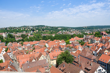 Fototapeta na wymiar Roofs in the old town of Tuebingen, Germany