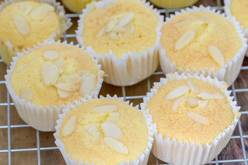 homemade sponge cake