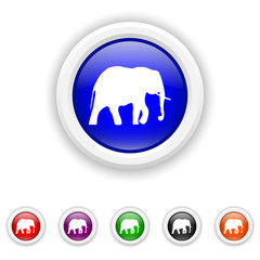 Elephant icon - six colours set vector