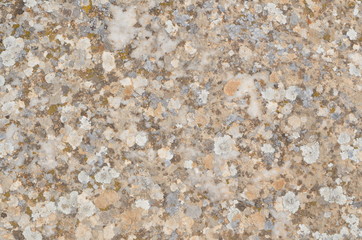 Marble texture