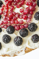 blackberry and red currant,  decoration of cream,isolated