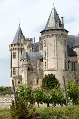 Fototapeta na wymiar Castle of Saumur in Loire Valley, France