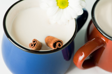 Blue mug with milk and cinnamon