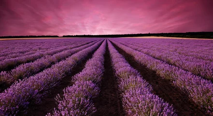 Selbstklebende Fototapete Sommer Atemberaubende Lavendelfeldlandschaft bei Sonnenuntergang