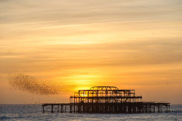 Fototapeta na wymiar Stado szpaków ponad Zachodnie Molo w Brighton