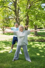 Fototapeta premium Mature couple stretching hands at park