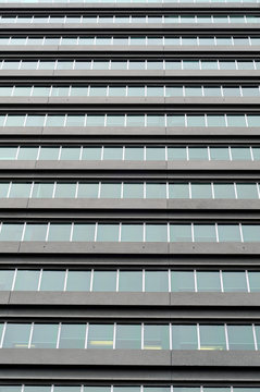 Windows on tall office building