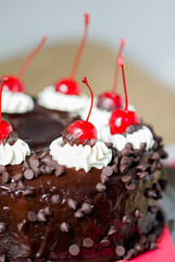 Cake