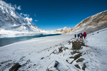 Trekkers walking in himalayas, with Tilicho lake on the left