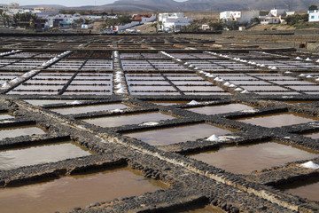 Fresh sea salt  Salinas del Carmen  Fuerteventura