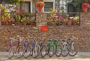 Fototapeta na wymiar Bicycles for rent.