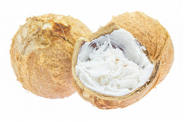Coconut