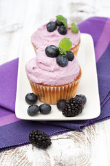 Fototapeta na wymiar Blueberry cupcakes