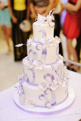 Marvelous Wedding Cake